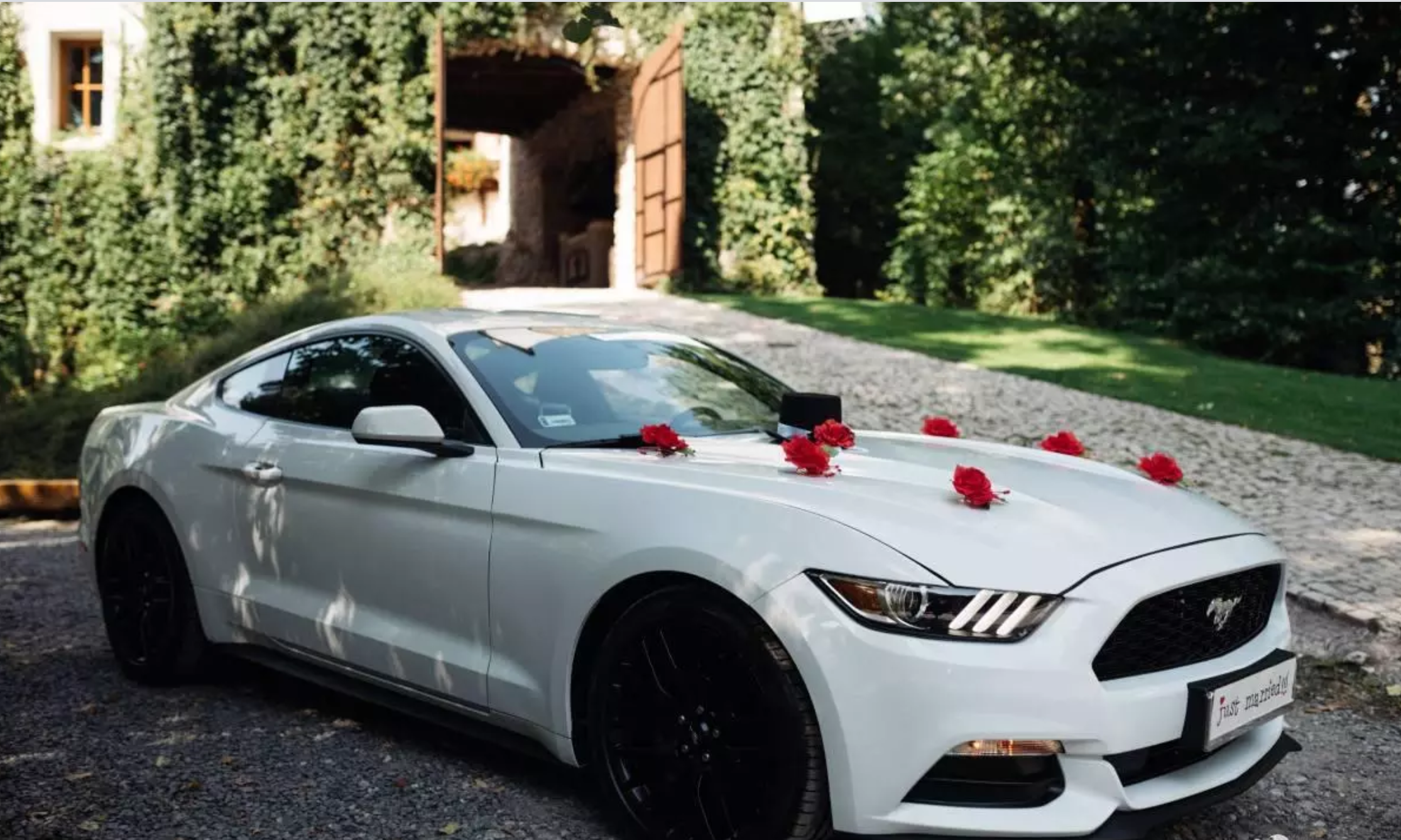 Ford Mustang Wynajem Do Ślubu